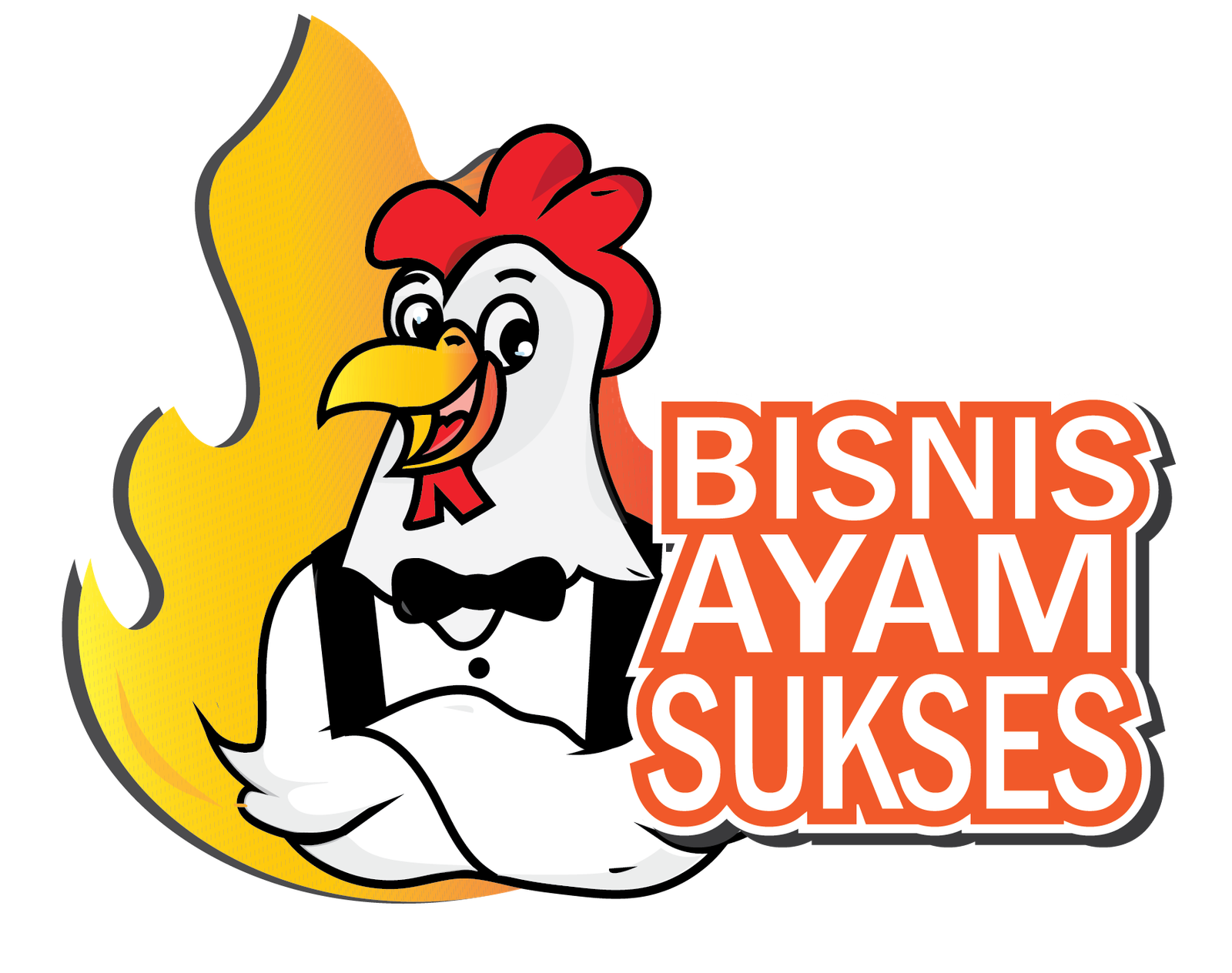 bisnis ayam sukses