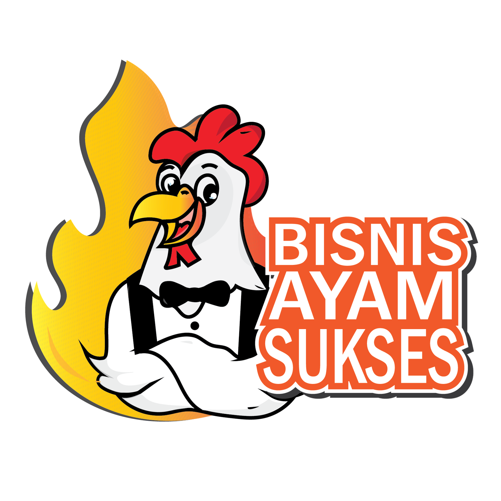 bisnis ayam sukses